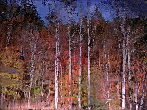 "Total Reflection" - Tellico River, East Tennessee