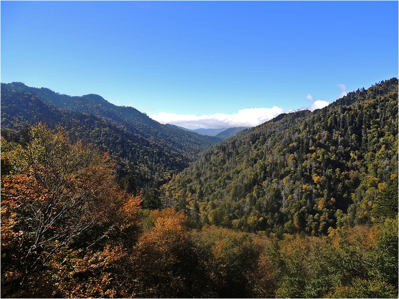 Mountain Valley in Smoky Mountains